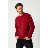 Erkek Bordo Basic Bisiklet Yaka Sweatshirt
