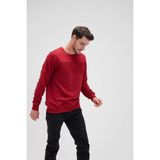 Erkek Bordo Sweatshırt Forward Maroon