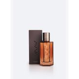 Erkek Brown Hediye Kutulu Erkek Parfüm 100 ml B009122
