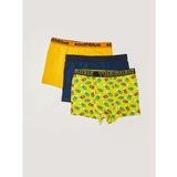 Erkek Çocuk 3'lü Boxer