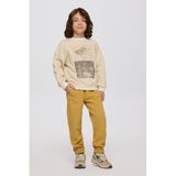 Erkek Çocuk Baskılı Bej Sweatshirt 10 Yaş (140 cm)