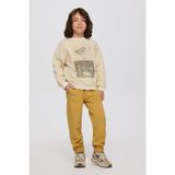 Erkek Çocuk Baskılı Bej Sweatshirt 12 Yaş (152 cm)