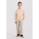 Erkek Çocuk Baskılı Bej Sweatshirt 9 Yaş (134 cm)