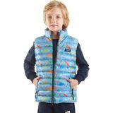 Erkek Çocuk Dinozor Baskılı Trend Şişme Yelek Ak216263, MAVİ, 9 Yaş