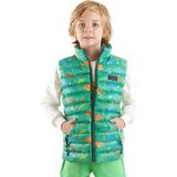 Erkek Çocuk Dinozor Baskılı Trend Şişme Yelek Ak216263, Yeşil, 7 Yaş