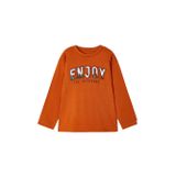 Erkek Çocuk Kabartma Baskılı Sweatshirt 4020 30 06YAŞ