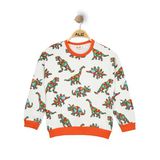 ERKEK ÇOCUK RENKLİ DINOSAUR BASKILI SWEATSHIRT