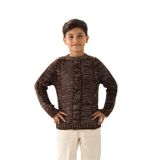 Erkek Çocuk Triko Kazak – Bisiklet Yaka ve Uzun Kollu Günlük Model 7-8 Yaş/Kahverengi