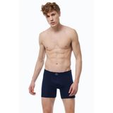 Erkek Füme Premium Collection Modal Uzun Boxer 250