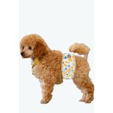 Erkek köpek çiş bezleri, 3'lü Avantajlı paket, 1 paket 3 farklı desen (Ocean, Large)