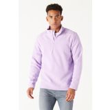 Erkek Lila Anti-Pilling Tüylenme Yapmayan Standart Fit Dik Yaka Polar Sweatshirt