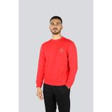 Erkek Logo Üstü Yılan Desenli Yuvarlak Yaka Regular Fit Uzun Kollu Lacivert Sweatshirt 25411882-050