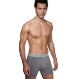 Erkek Modal Çizgili Büyük Beden Füme Boxer 1780