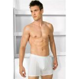 Erkek Modal Klasik Boxer