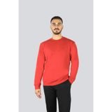 Erkek Normal Kalıp Logo Desenli Yuvarlak Yakalı Pamuklu Uzun Kollu Kırmızı Sweatshirt 15311861-636