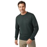 Erkek Normal Kesim Yuvarlak Yakalı Pamuklu Havlu Kumaş Uzun Kollu Yeşil Sweatshirt 50546387-348