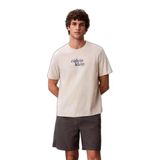 Erkek Pamuklu Bisiklet Yaka Kısa Kollu Gri T-Shirt LV04RG815G-P4P