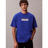 Erkek Pamuklu Bisiklet Yaka Kısa Kollu Mavi T-Shirt LV04RD808G-C65