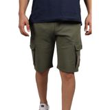 Erkek Pamuklu Regular Fit Düz Haki Şort 21411930-270