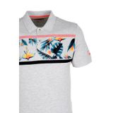 Erkek Polo Yaka Tişört Desenli Grimelanj%100 Pamuk Slim Fit T-shirt NCS JEANS 1179 GRİMELANJ M