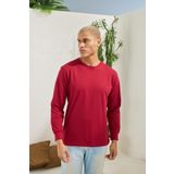 Erkek Regular Fit Uzun Kol Bordo T-Shirt C3T1N5 BORDO L
