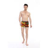 Erkek Renkli Yaprak Desenli Dijital Boxer 796