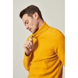 Erkek Sarı Anti-pilling Tüylenme Yapmayan Standart Fit Dik Yaka Polar Sweatshirt Sarı