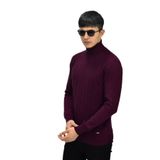Erkek Spor Balıkçı Yaka Kazak R22507 BGL-ST03177 BORDO L