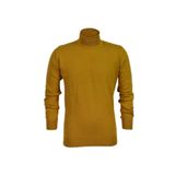 Erkek Spor Düz Balıkçı Yaka Kazak R21010 BGL-ST03179 HARDAL M