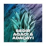 Erkek Sprey Deodorant Apollo 48 Saat Etkileyici Koku Vücut Spreyi 150 ml - Option-1