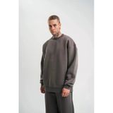 Erkek Uzun Kol Bisiklet Yaka 3 İplik Pamuklu Kışlık Sweatshirt - Füme