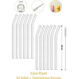Erkugo Cam Pipet 12 Adet ve Pipet Temizleme Fırçası, Cam Bardak Pipeti, Kalın Cam Pipet - Şeffaf