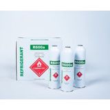Ermiya 12 Adet R600A Gaz Refrigerant 400 Gr