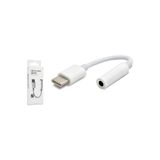 Ernet Group Type C to 3.5mm Kulaklık Adaptörü Samsung için Type C to 3.5mm NewPole DAC Çipli Dijital Dönüştürücü 8000081777941552100006