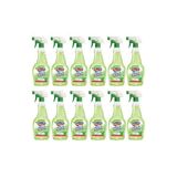 Ernet Sirkeli Temizleyici 750 ml 12LI - Yeşil