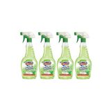 Ernet Sirkeli Temizleyici 750 ml 4lü - Yeşil
