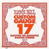Ernie Ball P01017 .017 Gitar Tek Teli