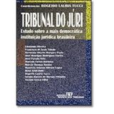 Erro De Tipo E Erro De Proibicao: E A Evolucao Da Teoria Causal-Naturalista Para A Teoria Finalista Da Acao : Doutrina E Jurisprudencia : ... [Paragrafo] 1O., Do Cp (Portuguese Edition) (Em Portuguese