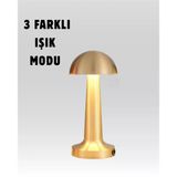 Ers%100 Kademeli Ayarlanabilir Işık – Usb Şarjlı Masa Lambası