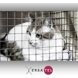 Ersa Tel Kafes ve Bahçe Teli 3 x 3 - 3.00 mm 100 x 200 cm Galvanizli Kaynaklı Hasır Kafes ve Bahçe Teli