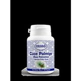 Ersağ Cüce Palmiye (saw Palmetto)