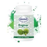 ERSAĞ ENGİNAR TAKVİYESİ