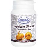 Ersağ Lepıdyum (Maca) - 1