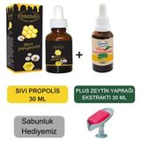 Ersağ Plus Zeytin Yaprağı Ekstraktı 30 ml - Sıvı Propolis 30 ml + (Sabunluk Hediyemiz) 2057-12 - Aromasız