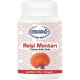 Ersağ Reişi Mantarı - 1