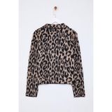 Ersefa Stil Modern Kadın Regular Standart Kol Polo Yaka Leopar Desenli Triko Hırka - Kahverengi
