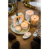 Ersu Store Oda Kokusu Cam ve Beton Bardak Soya Wax Tealight Mum Seti - Altın - adet
