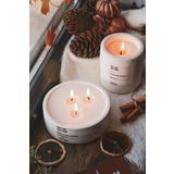 ErsuStore 2'li Beton Saksı Içinde Lavanta Kokulu Soya Wax Mum Seti Dekoratif Hediyelik (Beyaz)
