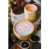 ErsuStore 2'li Beton Saksı Içinde Lavanta Kokulu Soya Wax Mum Seti Dekoratif Hediyelik (Sarı)