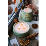 ErsuStore 2'li Beton Saksı Içinde Lavanta Kokulu Soya Wax Mum Seti Dekoratif Hediyelik (Yeşil)
